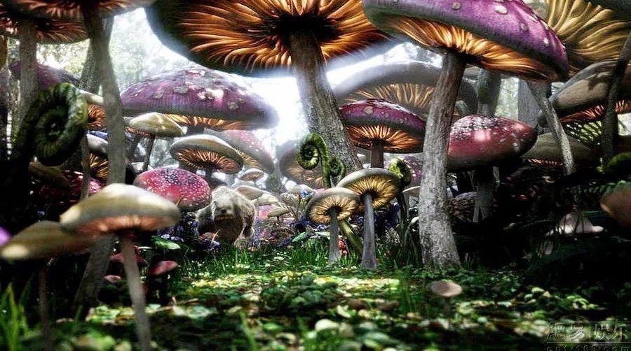 探索现在的年 轻人熬夜怎么度过的?都是喝的啥提神饮料呢? | 专业知识星球平台
